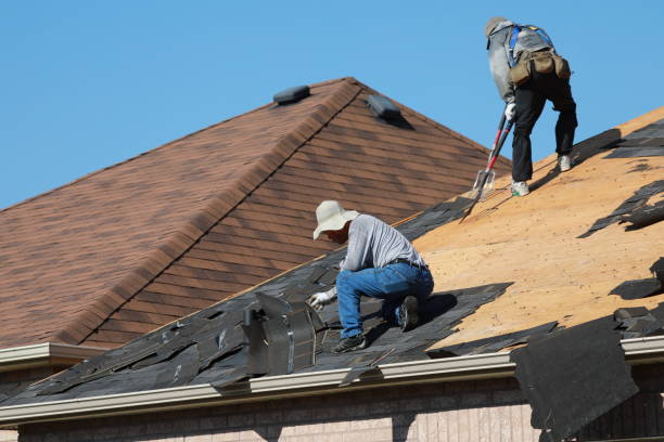 Best Roof Coating and Sealing  in Littleton Common, MA